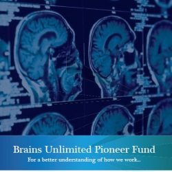 Brains Unlimited Pioneer Fund